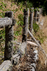 Similar image 22075505