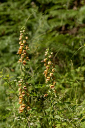 Similar image 22079085