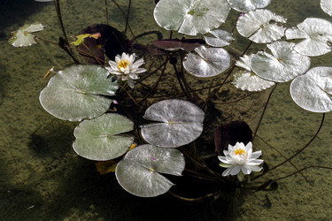 Similar image 22091714