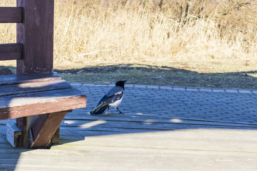 Similar image 22071848