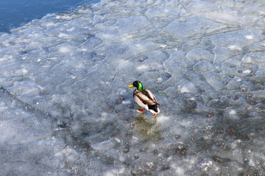 Similar image 22071872