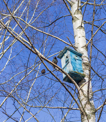 Similar image 22071888