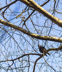 Similar image 22071890