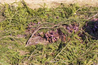 Similar image 22071896