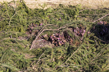 Similar image 22071899