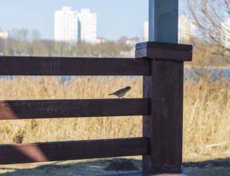 Similar image 22071901