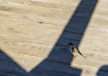 Similar image 22071902