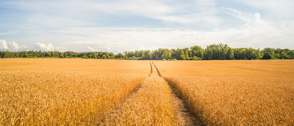 Similar image 22073450