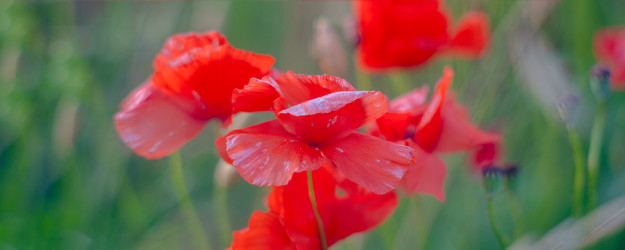 Similar image 22073451