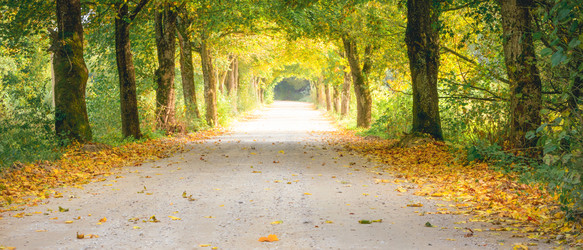 Similar image 22073452