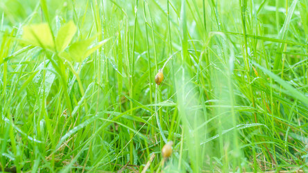 Similar image 22073453