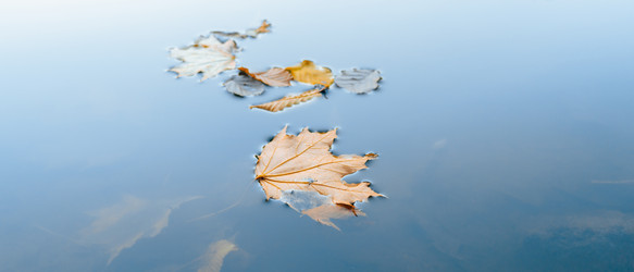 Similar image 22073455