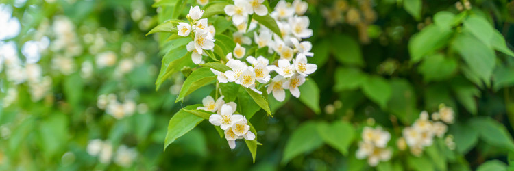 Similar image 22073456