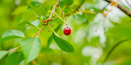 Similar image 22073459