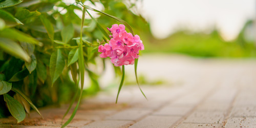 Similar image 22073460