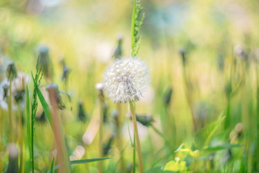 Similar image 22073461