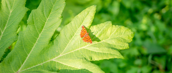 Similar image 22073466