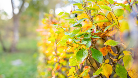 Similar image 22073470