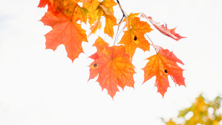 Similar image 22073471