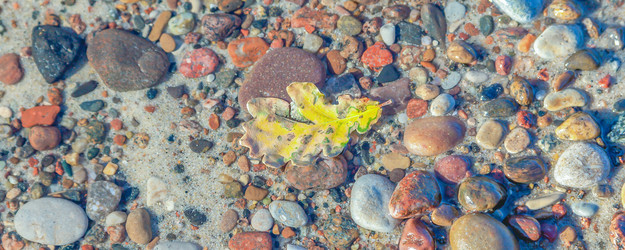 Similar image 22073479