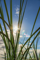 Similar image 22074240