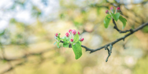 Similar image 22074243