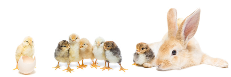 Similar image 22072162