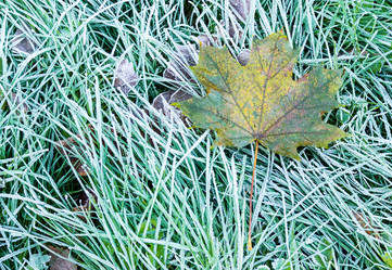 Similar image 22072184