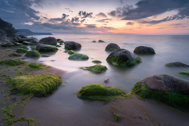 Similar image 22073496