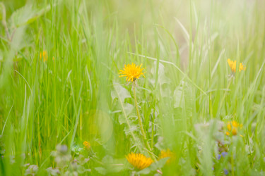 Similar image 22073497