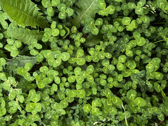 Similar image 22072446