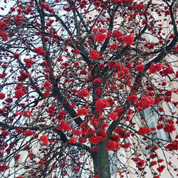 Similar image 22072449