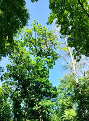 Similar image 22073520