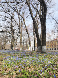 Similar image 22073521