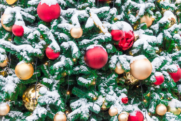 Similar image 22074277