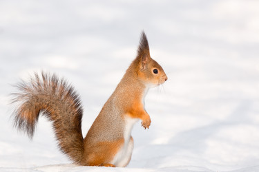 Similar image 22074568