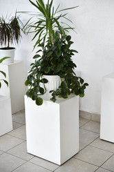 Similar image 22072450