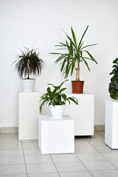 Similar image 22072453