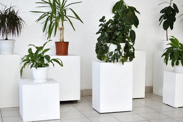 Similar image 22072454