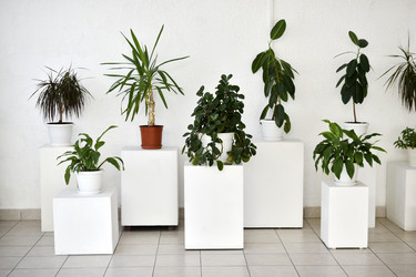 Similar image 22072455