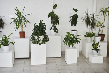 Similar image 22072456