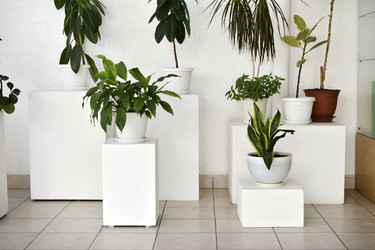 Similar image 22072457