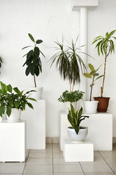 Similar image 22072459