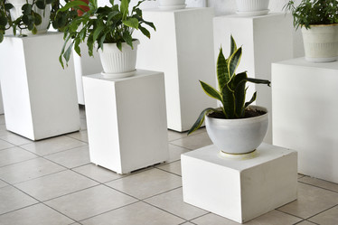 Similar image 22072461