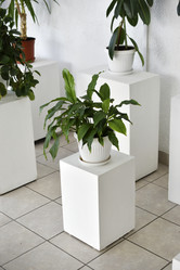 Similar image 22072462