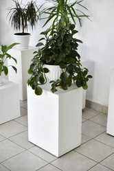 Similar image 22072463