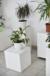 Similar image 22072464