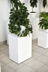 Similar image 22072466