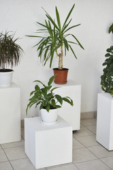 Similar image 22072467