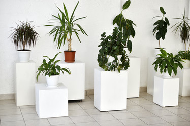 Similar image 22072468